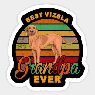 Best Vizsla Grandpa Ever Sticker